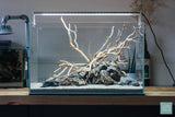 Aquarium Manzanita wood