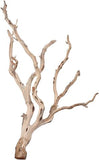 Aquarium Manzanita wood